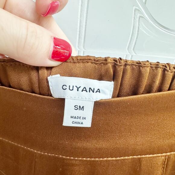 Cuyana Silk Charmeuse Wide Leg Pants Hazelnut Brown Copper Trouser Small - Picture 2 of 7